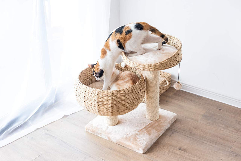 Paper Rope Natural Bowl Shaped with Perch Cat Tree