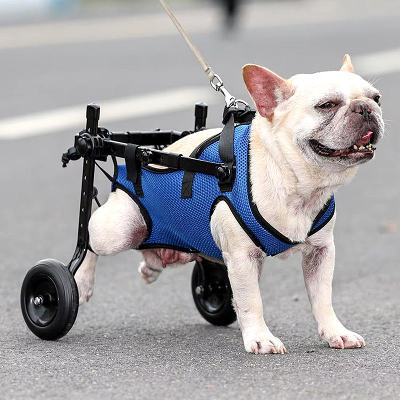 Pet Trolley Adjustable Hind Leg Disabled Pet Dog Mobility Aid Light Rehabilitation Legs Pet Wheelchair Walk Trolley Tools