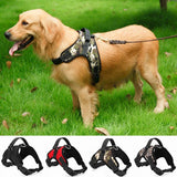 Premium Nylon Dog Collar Set - Stylish and Durable Pet Accessories