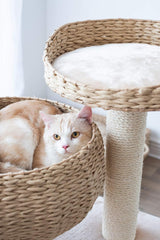 Paper Rope Natural Bowl Shaped with Perch Cat Tree