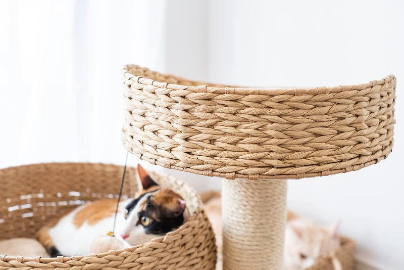 Paper Rope Natural Bowl Shaped with Perch Cat Tree